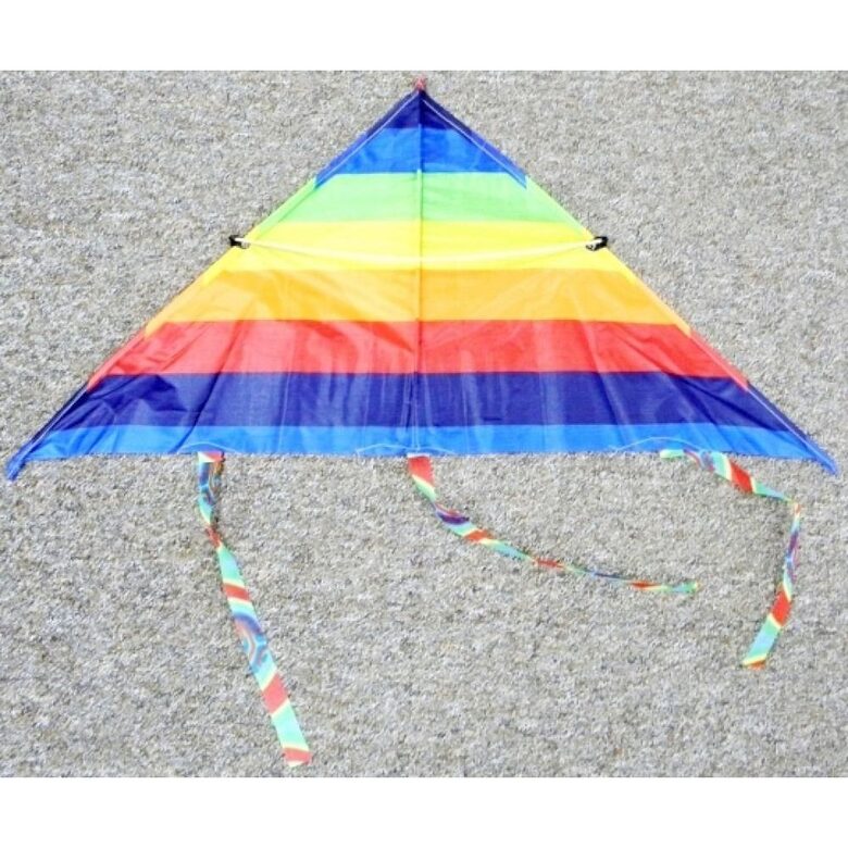 Gaisā laižams lidojošais pūķis ar auklu, 115cm