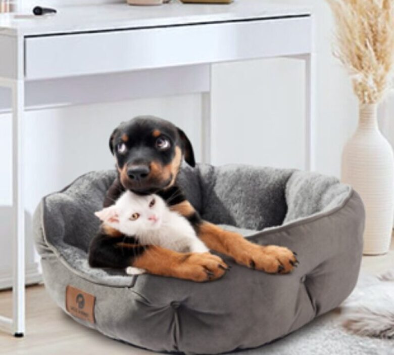 Dzīvnieku guļvieta XXL (70*55*20cm), kaķiem, suņiem