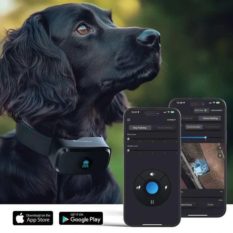 V.02 AI Smart Bezvadu Suņu Radiosēta GPS bez attāluma limita