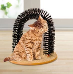 Kaķu paš - kasītājs un masažieris