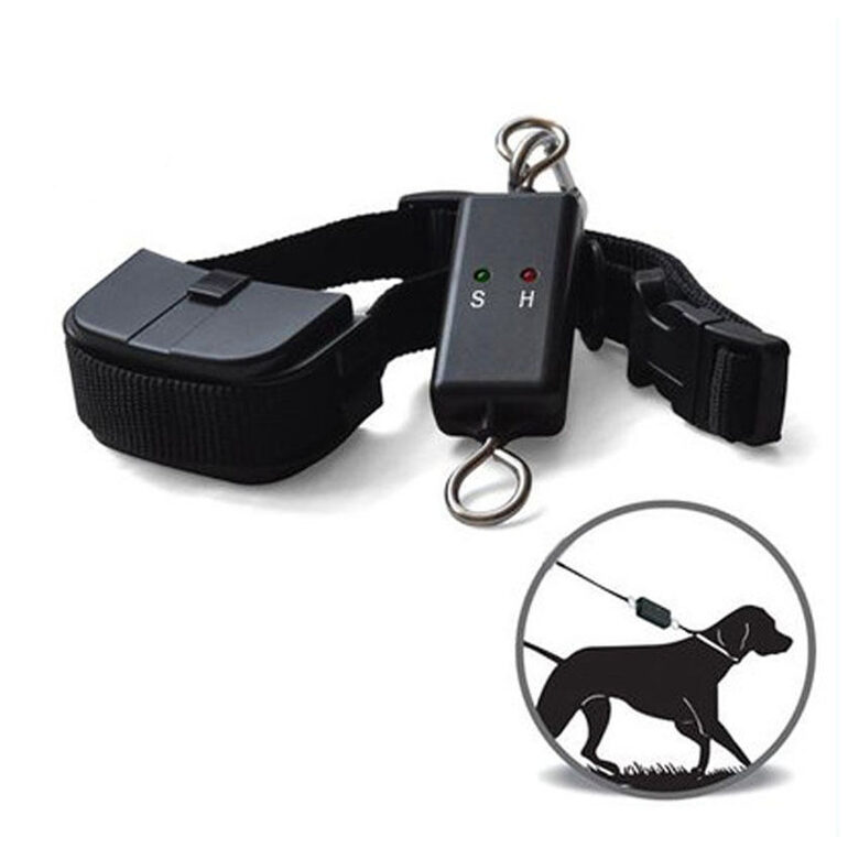 Suņu pavada pret raustīšanu