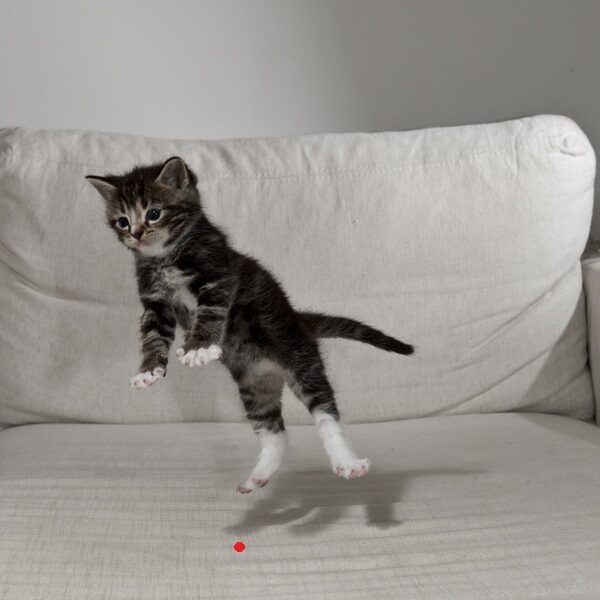 Rotaļlieta Kaķiem- Lāzeris