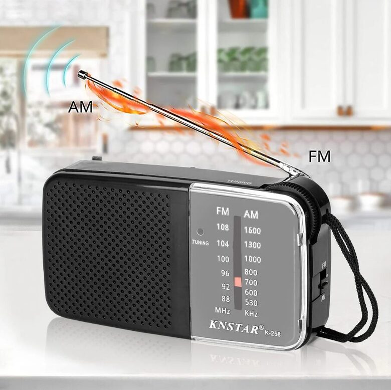 Fm/Am Radio, mini