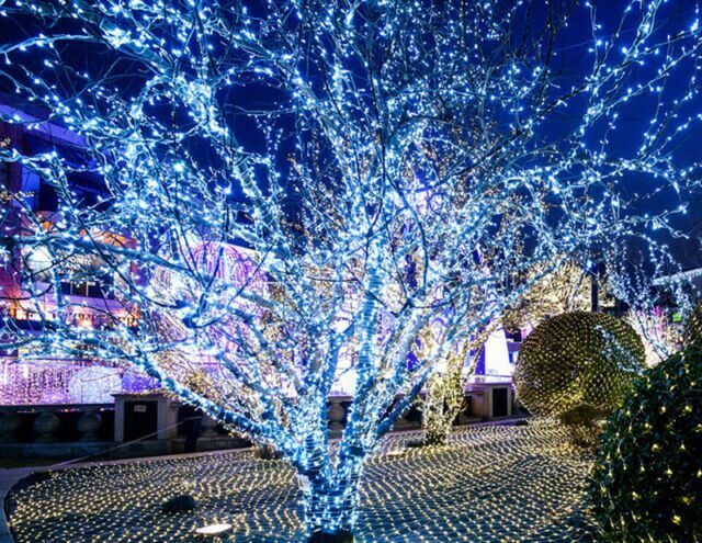 Led virtene ar 500 LED, auksti balts, 53m, ārtelpām un iekštelpām