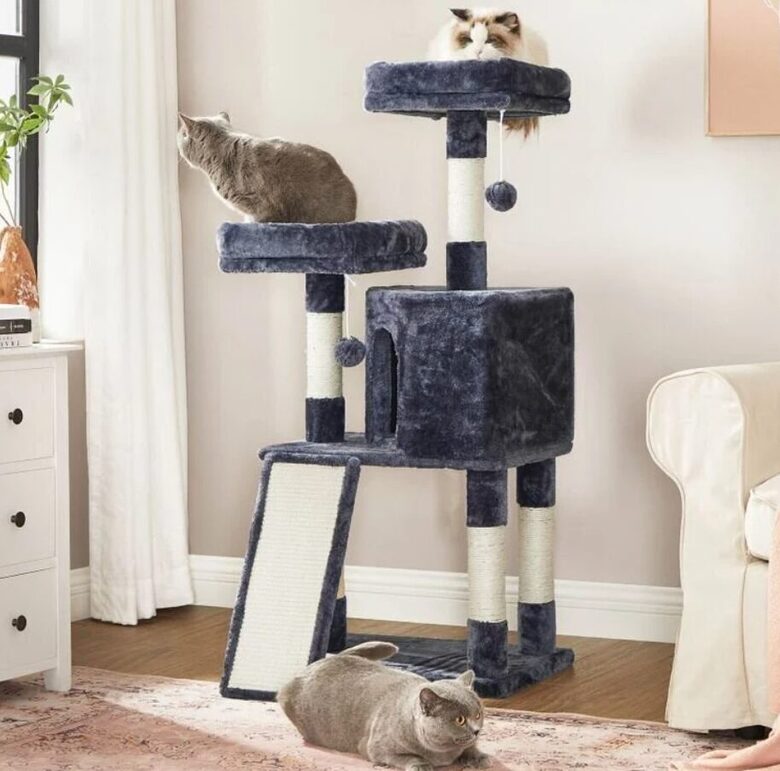 Kaķu nagu asināmais un māja, 117cm tumši pelēka