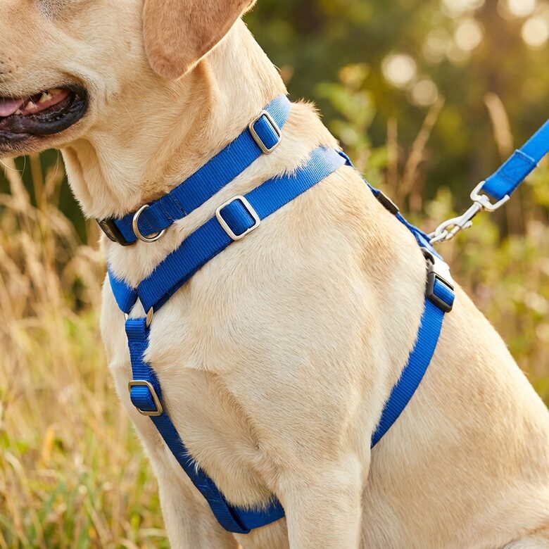 IZPĀRDOŠANA - Suņu treniņu pavada Instant Trainer Leash 1,8 m pret vilkšanu
