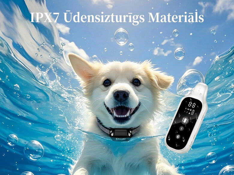 Digitālā suņu dresūras kaklasiksna ar tālvadības pulti 800 m, ūdensizturīga, uzlādējama treniņu sistēma