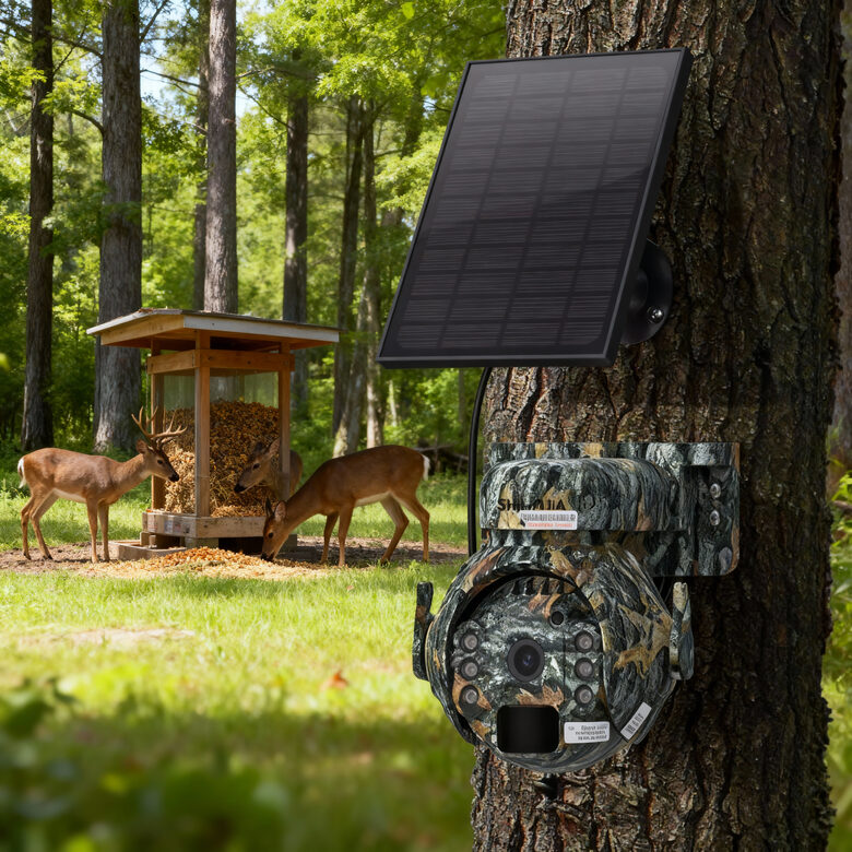 Mednieku kamera 4G online, meža vērošana