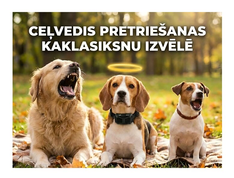 Ceļvedis Suņu Pretriešanas siksnu izvēlē