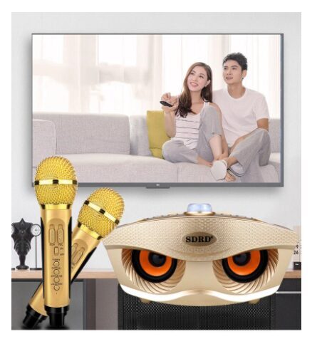 Karaoke mikrofonu komplekts ar bluetooth skaļruni