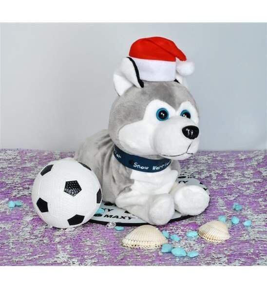 Gudrais Suns, interaktīvā bērnu rotaļlieta