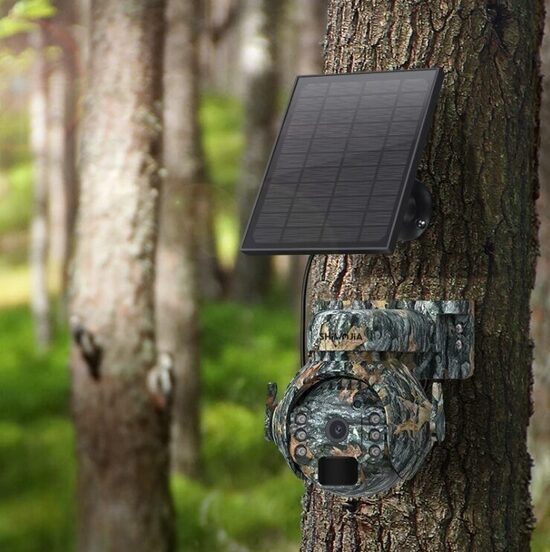 Mednieku kamera 4G online, meža vērošana