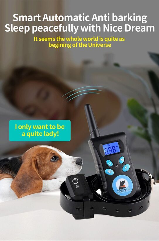 Suņu pretriešanas ierīce ar dresūras un treniņu siksnu 500m