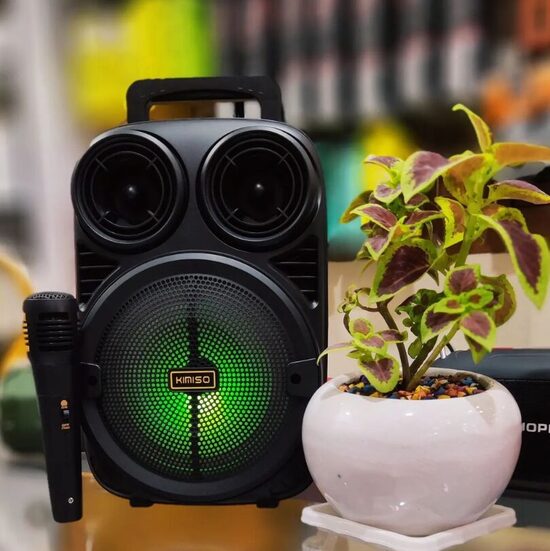 Karaoke Mikrofons ar Bluetooth tumbu, lādējams (USB / TF / FM / AUX / MIC, 200 * 133 * 301mm)