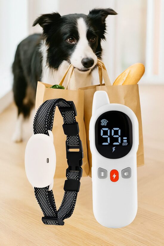 Suņu dresūras kakla siksna 800m, balta