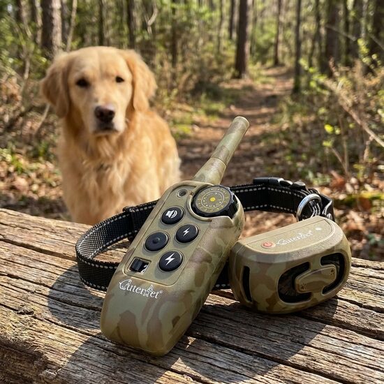 Suņu dresūras treniņa apkakle