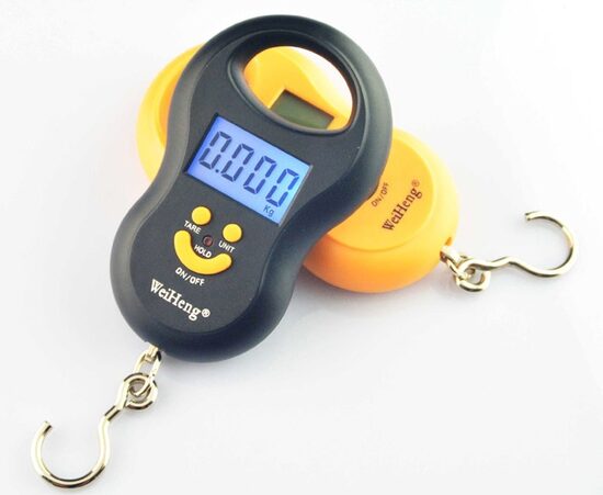 Pārnēsājami elektroniskie svari, LCD displejs, 50 kg, -/+ 5 gr