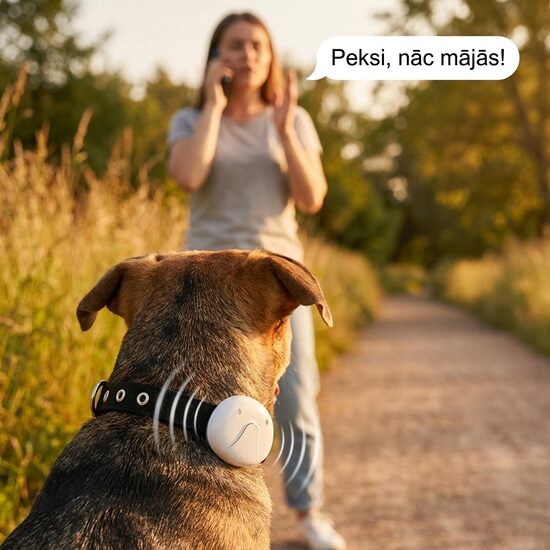 Mini Dzīvnieku izsekošanas ierīce (49*46*20MM), suņu - kaķu Gps izsekotājs