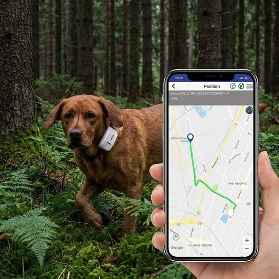 GPS Dzīvnieku izsekošanas ierīce, darbojas ar Sim karti /bez abonēšanas maksas/