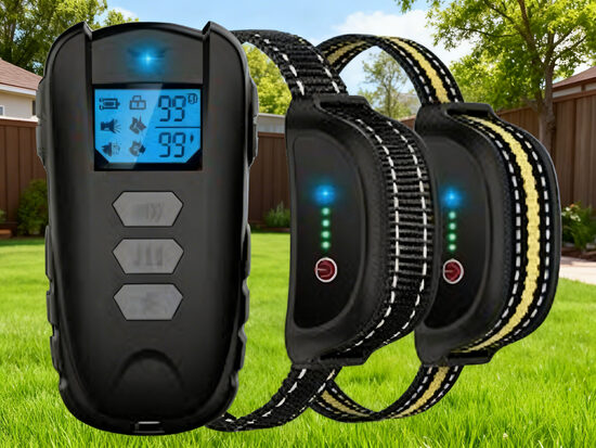 Suņu dresūras kaklasiksnas komplekts 2 suņiem