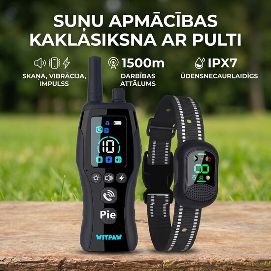 Suņu Apmācības Kaklasiksna